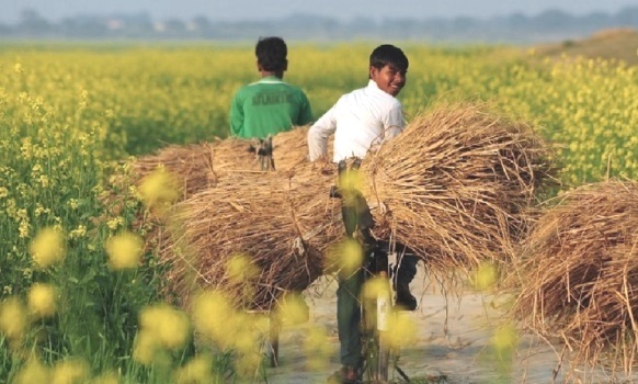 Walmart Foundation grants $2 million to Grameen Foundation to boost smallholder farmers in Eastern UP and West Bengal